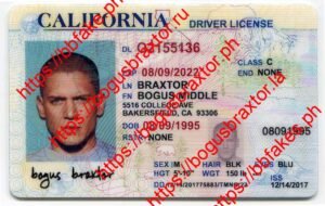 Bogus Braxtor Fake ID - California Over 21