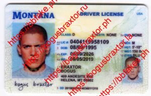 Bogus Braxtor Fake ID - Montana Fake ID