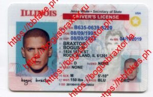 Bogus Braxtor Fake ID - Illinois Fake ID