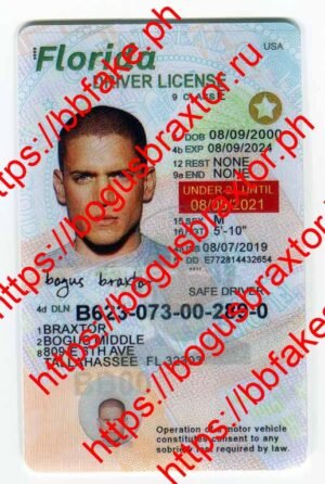 Bogus Braxtor Fake ID - Florida Learner Fake ID