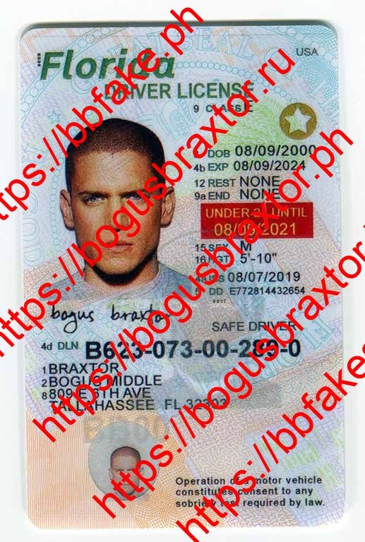 Bogus Braxtor Fake ID - Florida Fake IDs