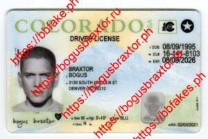 Bogus Braxtor Fake ID - Colorado Fake ID