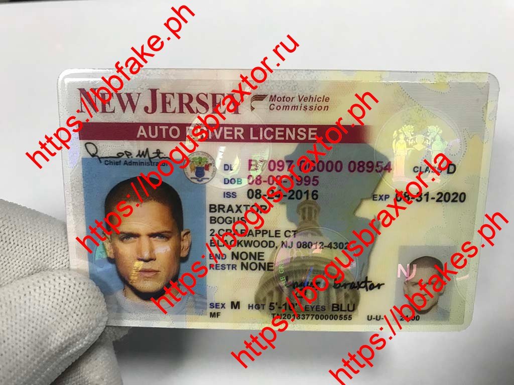 New Mexico Fake ID - Image 2