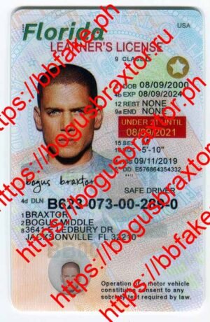 Bogus Braxtor Fake ID - Florida Learner Fake ID