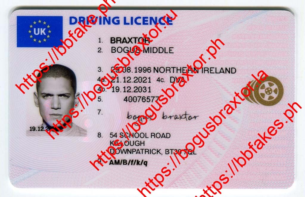 Bogus Braxtor Fake ID - UK Northern Ireland Fake ID