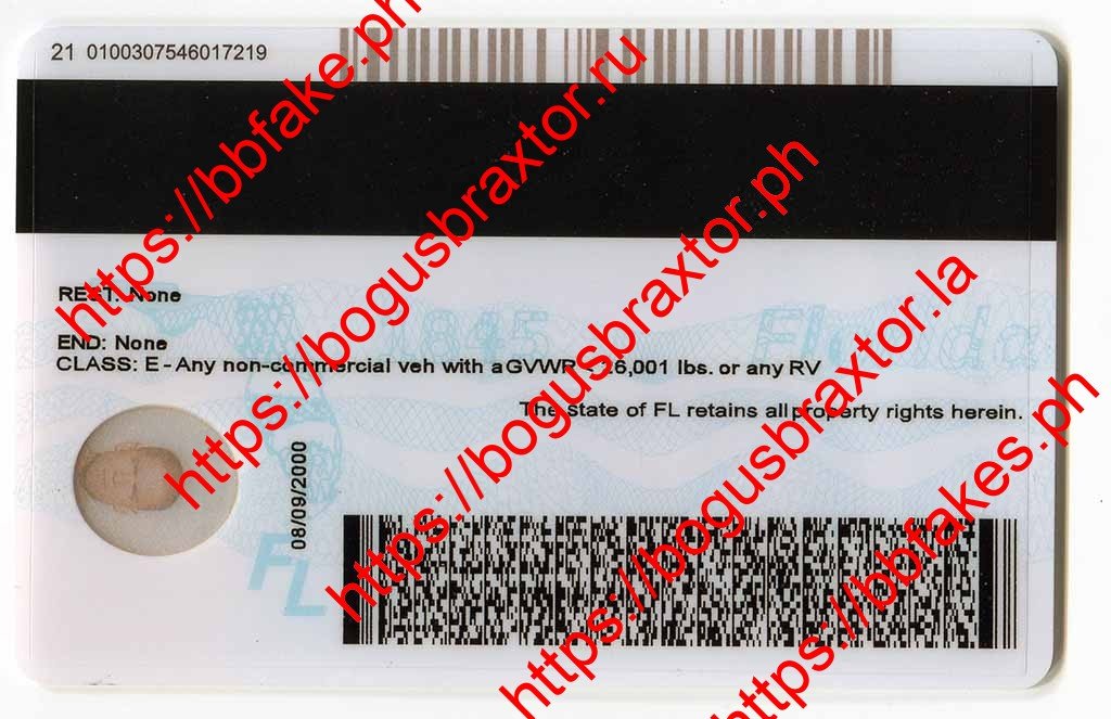 Florida Fake IDs - Image 2