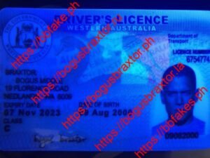 Western Australia Provisional Fake ID